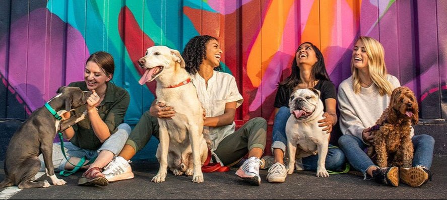 Four women and four dogs resting against a colorful backdrop